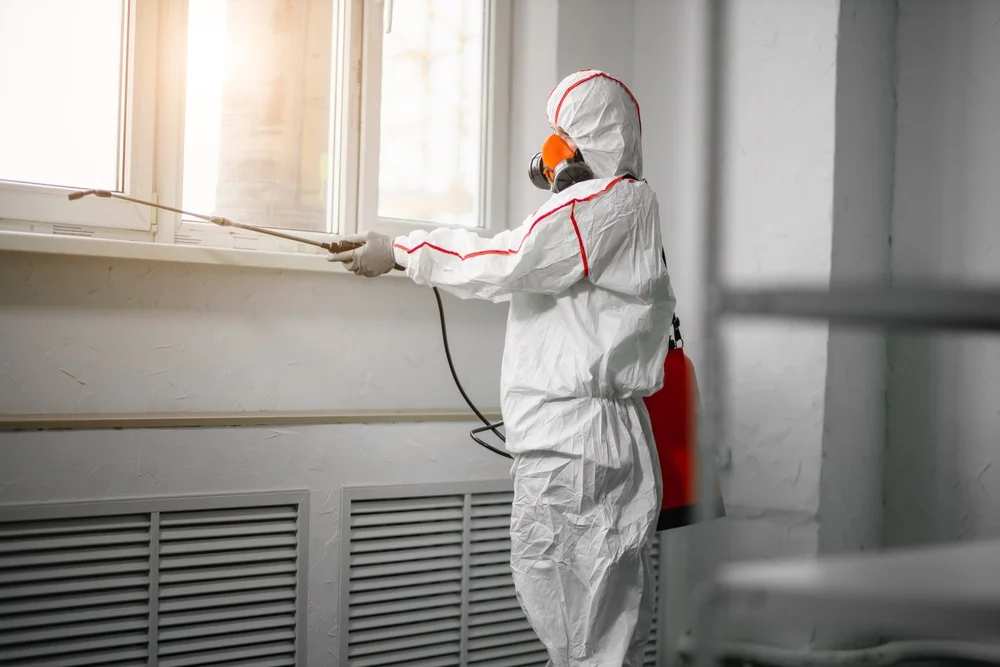Professional mold remediation services in Newton, WI